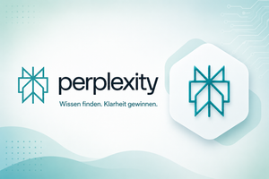 Perplexity